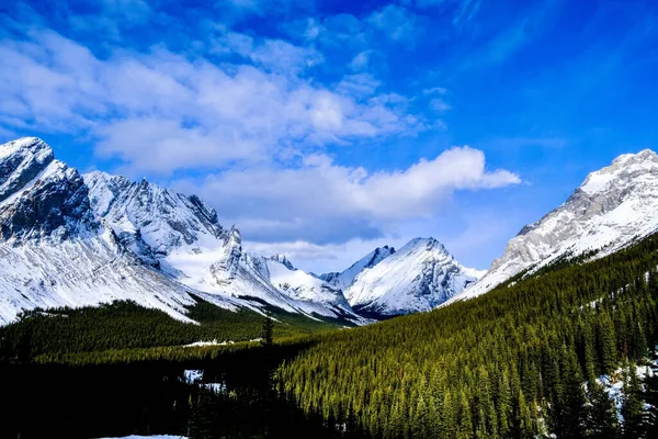 Una Vista Aérea Montañas Cubiertas Nieve Rodeadas Pinos —  Fotos de Stock