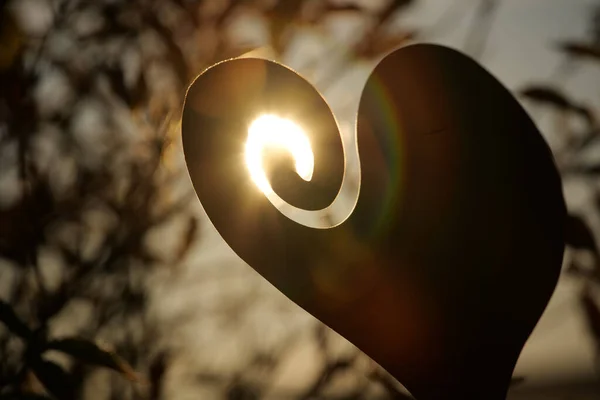 Closeup Sunshine Peeking Ornamental Hole Heart Shaped Metal Sheet — Stock Photo, Image