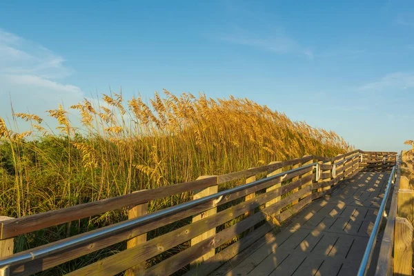 Promenáda Vedoucí Pláž Ostrově Ocracoke Cape Hatteras National Seashore — Stock fotografie