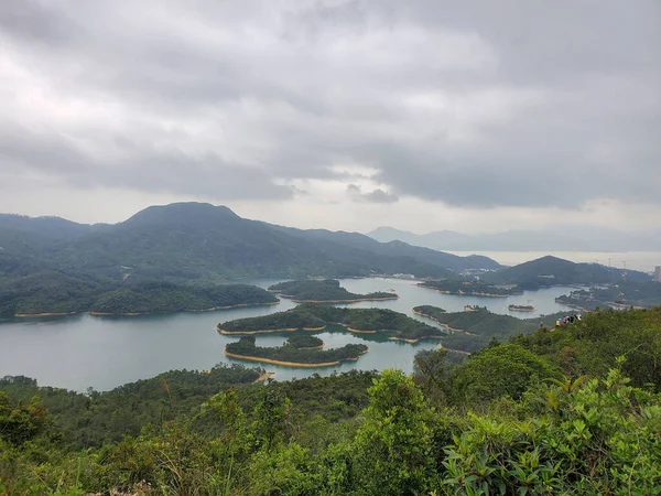 Plano Aéreo Del Mirador Isla Del Embalse Rodeado Bosques Densos — Foto de Stock