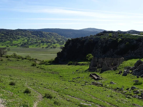 Tarlada eski bir harabe var.