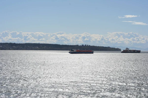 Plan Horizontal Porte Conteneurs Lointain Flottant Milieu Une Mer — Photo