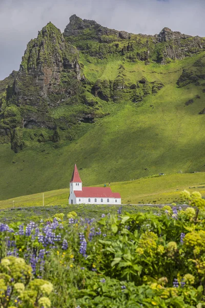 Vik Kyrkan Island Sommaren Blommor Förgrunden Och Berg Bakgrunden — Stockfoto