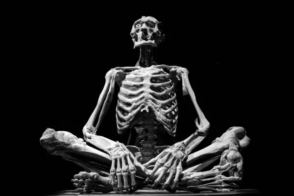 Ett Sittande Mänskligt Skelett Med Svart Bakgrund — Stockfoto