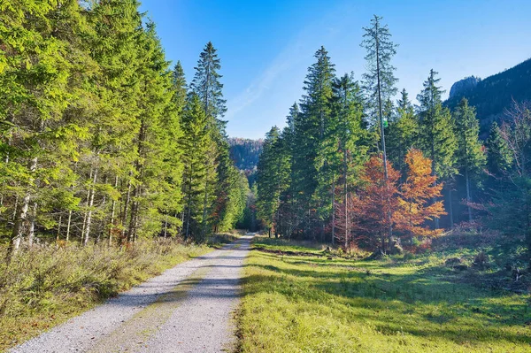 Malowniczy Widok Ścieżki Salzkammergut Górach Jesienią Słoneczny Dzień — Zdjęcie stockowe