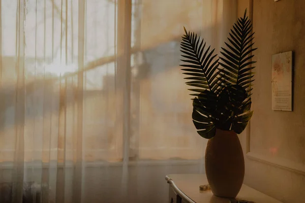 Eine Nahaufnahme Einer Tropischen Pflanze Einer Vase Hause — Stockfoto