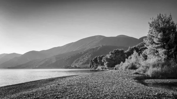 Черно Белый Снимок Скалистого Пляжа Горами Заднем Плане Полными Деревьев — стоковое фото