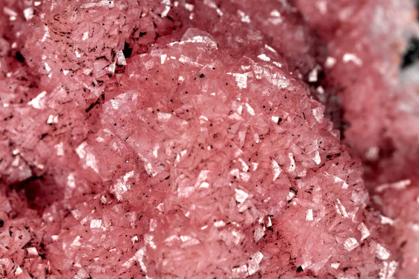 生鲜腌肉的特写镜头 — 图库照片