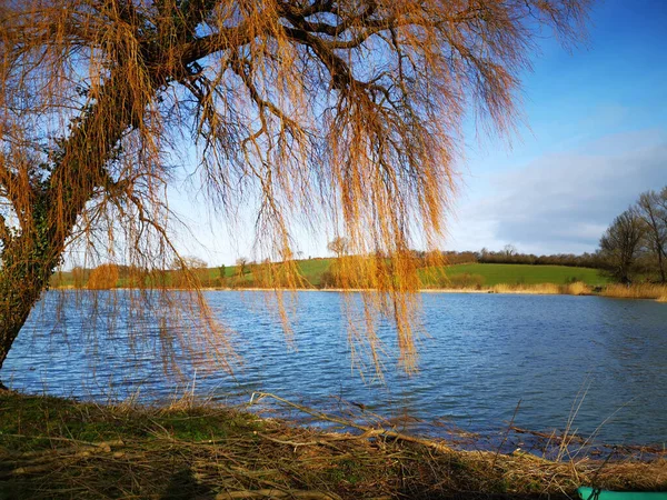 Close Lago Com Campo Céu Azul Fundo — Fotografia de Stock