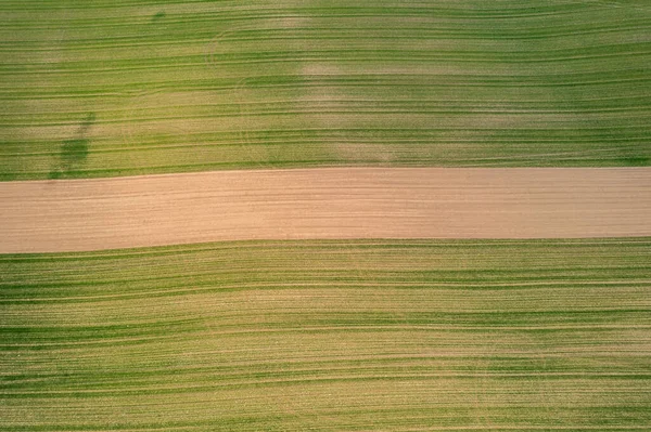 Eenvoudig Groen Veld Gefotografeerd Vanuit Lucht Het Voorjaar — Stockfoto
