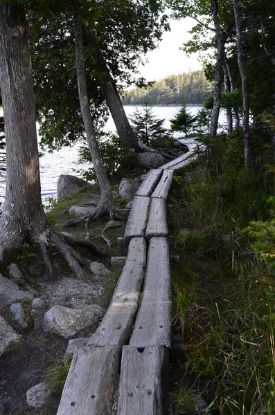 Ein Fußweg Mit Holzdecks Der Zur Küste Des Meeres Führt — Stockfoto