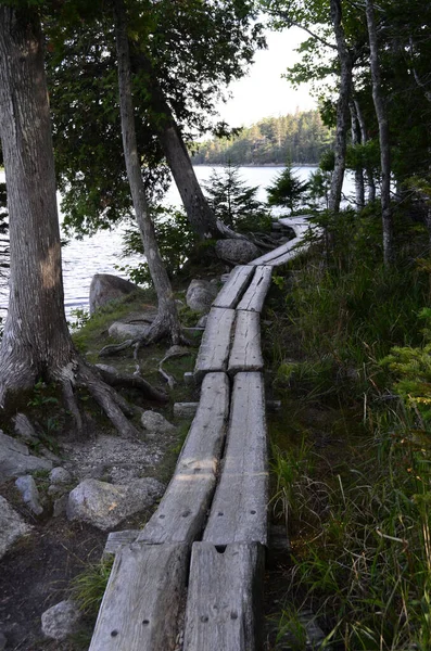 Sentier Fait Avec Des Ponts Bois Menant Côte Mer — Photo