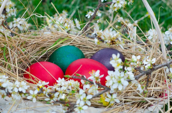 阳光灿烂的日子里 在绿草上的复活节彩蛋篮 草地上的复活节彩蛋 股票形象 — 图库照片