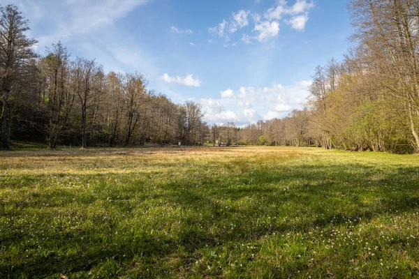 Belle Vue Sur Prairie Verte Szoce Hongrie — Photo