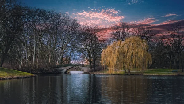 Uma Vista Rio Tranquilo Com Uma Ponte Sobre Ele Árvores — Fotografia de Stock