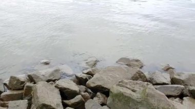 Kıyıdaki kayaları kaplayan su