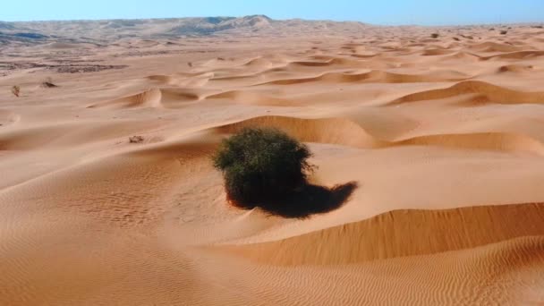 Sanddynerna Blåsig Öken Saudiarabien — Stockvideo