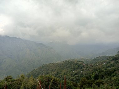 Gri bulutlu gökyüzünde sisli yeşil dağ manzarası