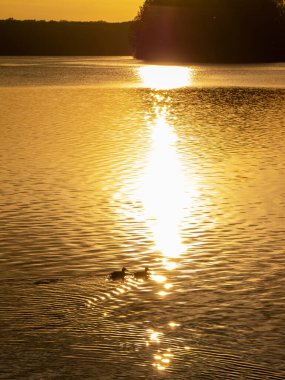 San Nazzaro, Monticelli, Piacenza, Emilia Romagna İtalya 'da gün batımı Po nehri parkında