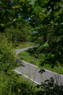 A vertical shot of a highway surrounded by trees.
