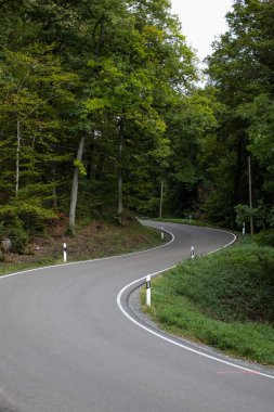 A vertical shot of a highway surrounded by trees.