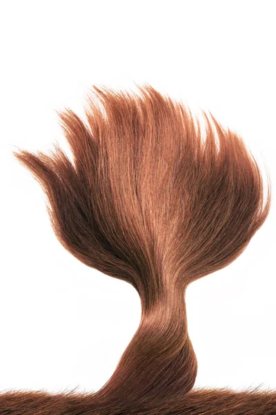 Une Mèche Beaux Cheveux Bruns Rougeâtres Doux Sains Isolés Sur — Photo