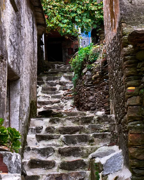 Plan Vertical Escaliers Menant Une Belle Maison Arouca Portugal — Photo