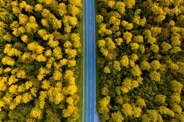 Aerial Top View Long Road Middle Beautiful Yellow Forest — Stock Photo, Image