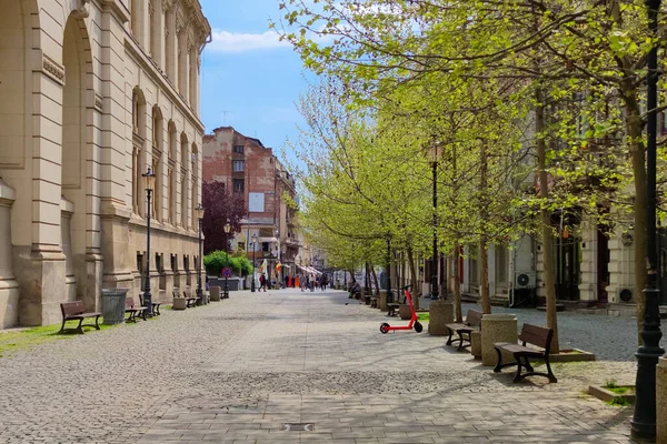 Beautiful Shot Empty Wooden Benches Paved Park Green Trees Building — Stock Photo, Image