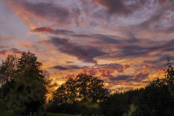 庭のカラフルな夕日の美しい景色 — ストック写真
