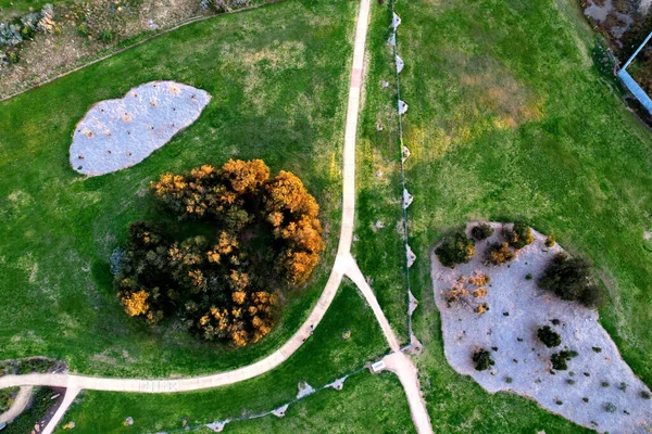 Una Vista Aérea Plantas Arbustos Parque — Foto de Stock