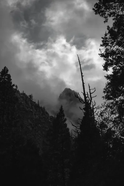 Mraky Skrývající Hory Yosemitech Kalifornie — Stock fotografie