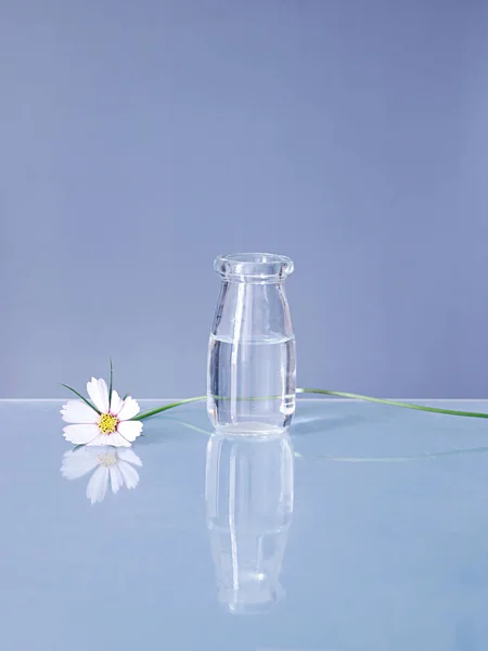 Beautiful Shot Cosmos Flower Glass Vase — Stock Photo, Image