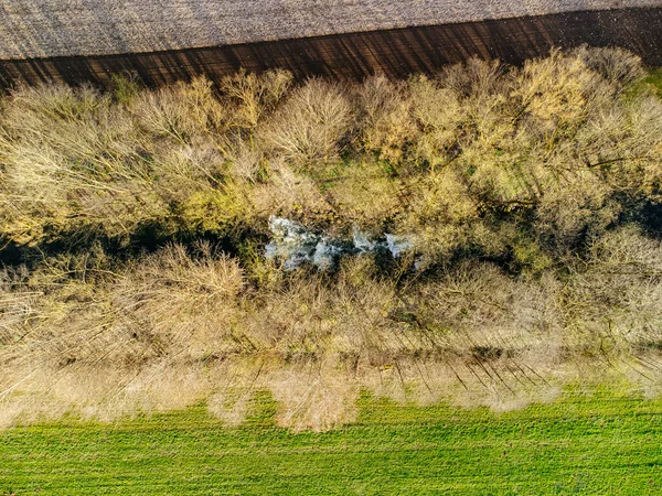 樹木や農地を持つ国の風景の空中ドローンショット — ストック写真