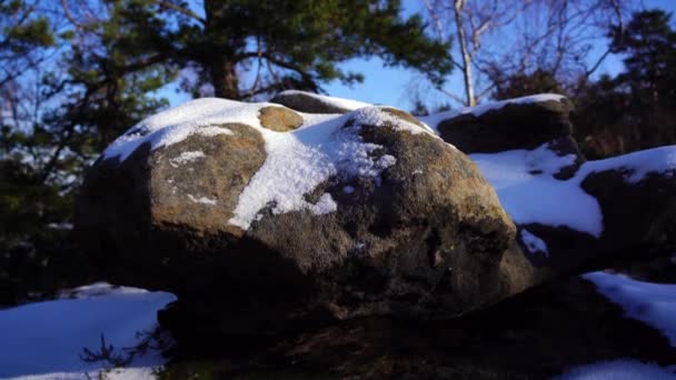 Neve Que Cobre Pedras Árvores Fundo Gohrisch Saxon Suíça — Vídeo de Stock