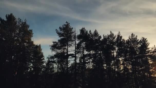 Drohnenaufnahmen Eines Waldes Unter Wolkenverhangenem Himmel Und Einer Kleinen Stadt — Stockvideo