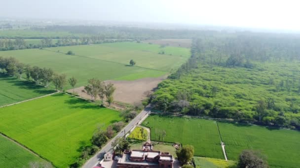 木々や草に囲まれた野原での旧インド人ハベリの空中映像 — ストック動画