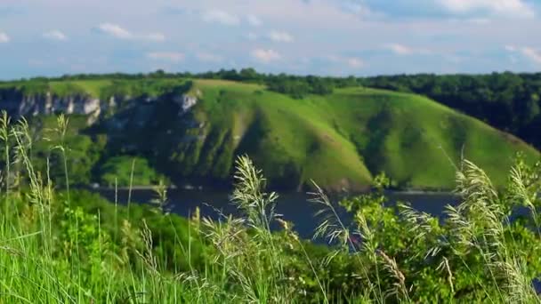 Meraviglioso Scenario Della Savana Sulle Alte Colline Con Una Brezza — Video Stock