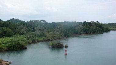 Ağaçlarla kaplı güzel bir kumsal görüntüsü.