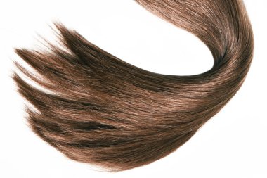 Güzel, yumuşak ve sağlıklı bir kahverengi saç teli beyaz bir arka planda izole edilmiş ve bir kopya alanı var.