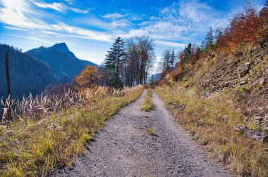 Sonbaharda güneşli bir günde Salzkammergut dağlarının manzaralı manzarası