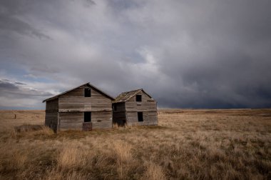 Baharın başlarında Alberta 'da terk edilmiş çiftlik binaları..