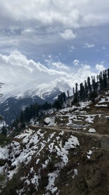 Bulutlu gökyüzünün altındaki ağaçlarla çevrili karlı dağların dikey görüntüsü.