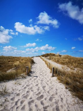 Bir tarlada kumlu bir yola yakın çekim