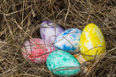 Çimenlerdeki renkli Paskalya yumurtalarının yakın çekimi.
