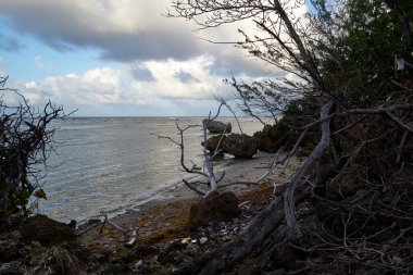 Bulutlu bir gökyüzüne karşı sahilin kayalık sahillerinde sürüklenen dalgaların yakın çekimi