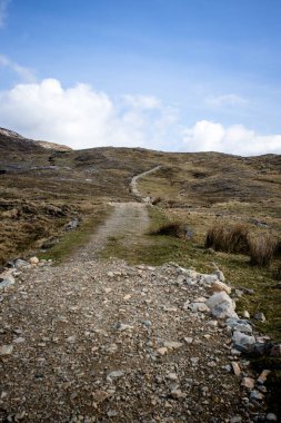 Sabahları vahşi doğada güzel bir manzara.