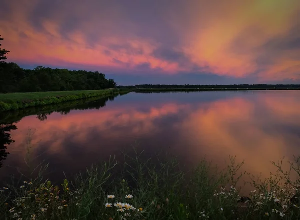 Hermoso Amanecer Sobre Tranquilo Lago Despejado Rodeado Vegetación — Foto de Stock