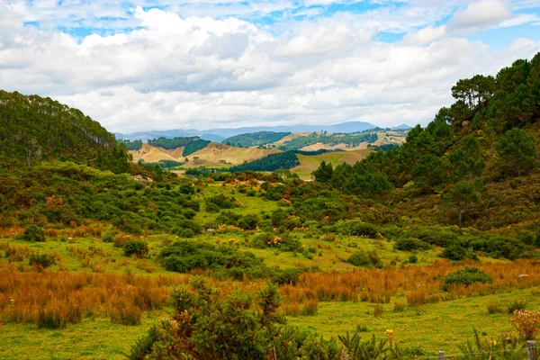 Красочный Весенний Пейзаж Короманделе Новая Зеландия — стоковое фото