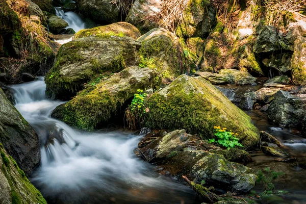 Uma Pequena Cachoeira Nas Rochas Musgosas Floresta — Fotografia de Stock